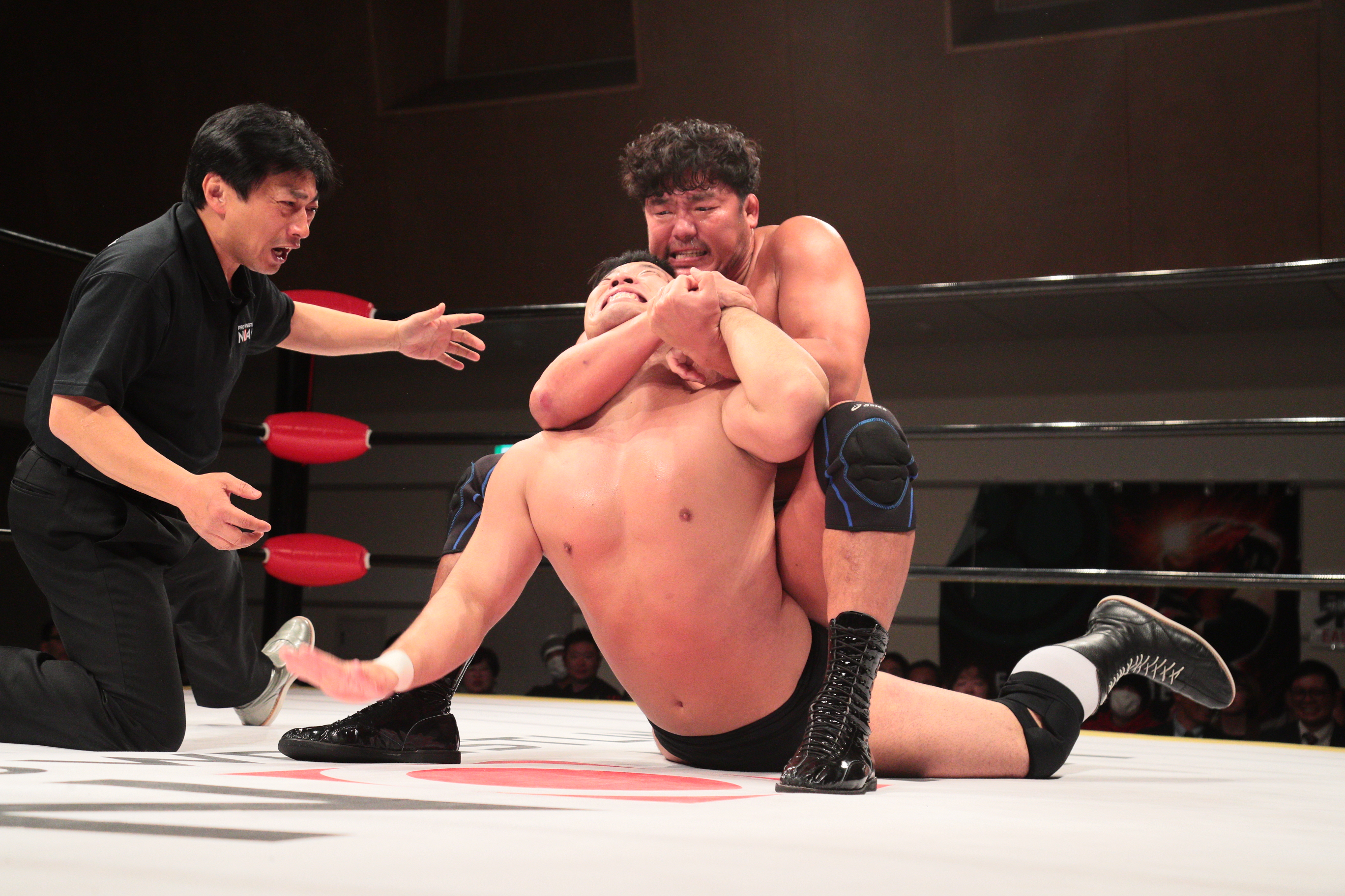 谷口周平 プロレスリング ノア公式サイト Pro Wrestling Noah Official Site 谷口周平 プロレスリング ノア公式サイト Pro Wrestling Noah Official Site
